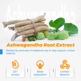 Cortisol Supplements for Women Capsules, Herbal Supplement with Ashwagandha | 120 Capsules